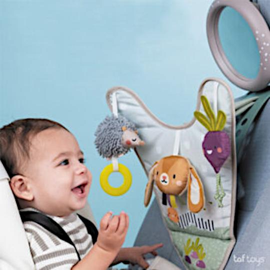 Taf Toys Urban Garden Activiteitencentrum Auto