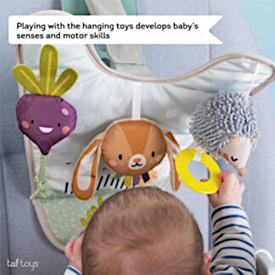 Taf Toys Urban Garden Activiteitencentrum Auto