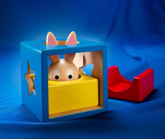 Smart Games Bunny Boo