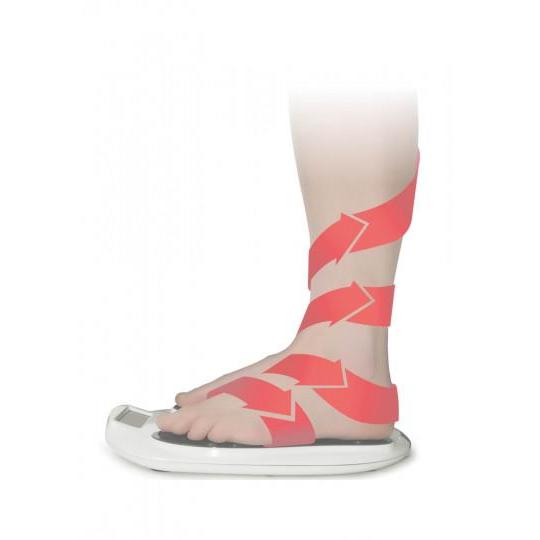 Spierstimulator Circulation MAXX Reviver Toonzaalmodel (zonder verpakking)