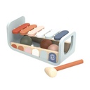 Speedy Monkey 2 in 1 - Xylofoon & Hamerbank