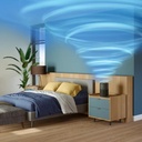 Philips Luchtreiniger AC0951/13