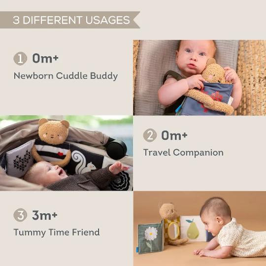 Taf Toys Snuggle Bear Book