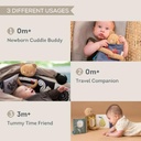 Taf Toys Snuggle Bear Book