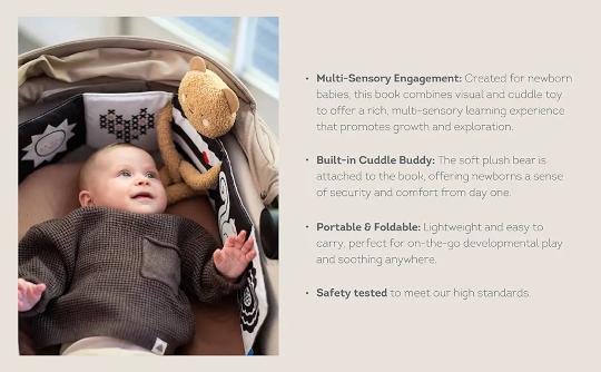 Taf Toys Snuggle Bear Book