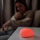 Flow Amsterdam Ruby Voedingslampje