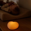 Flow Amsterdam Ruby Voedingslampje