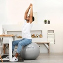 Sissel Securemax ball zilver