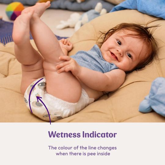 Libero Comfort 3 (New)