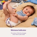 Libero Comfort 3 (New)