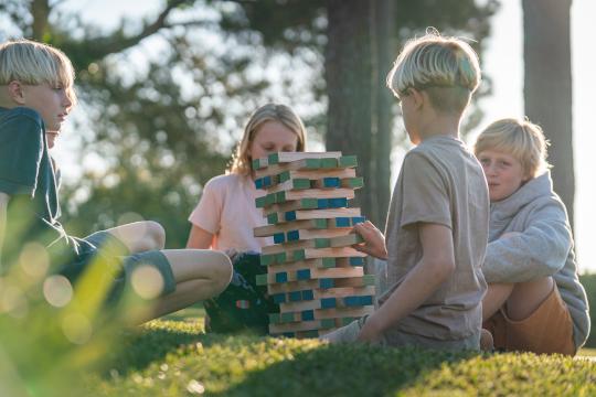 BS Toys Stapeltoren Groot