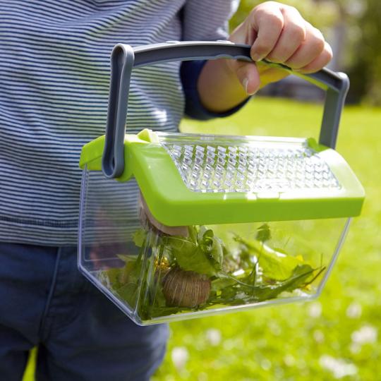 Terra Kids Insectendoos