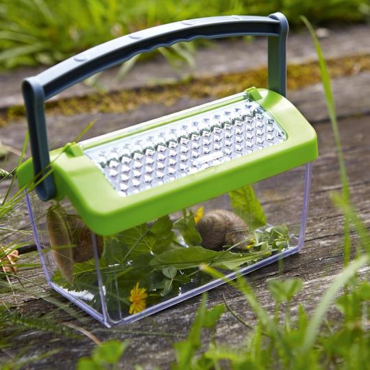 Terra Kids Insectendoos