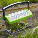 Terra Kids Insectendoos