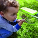 Terra Kids Insectendoos