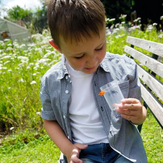 Terra Kids Insectenzuiger