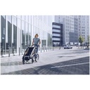Thule Chariot Lite double Fietskar