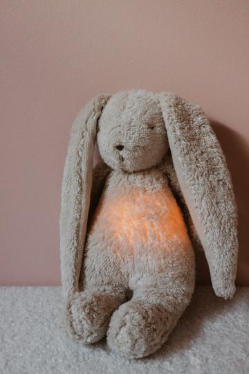 Moonie The Humming Bunny 2.0