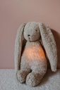 Moonie The Humming Bunny 2.0