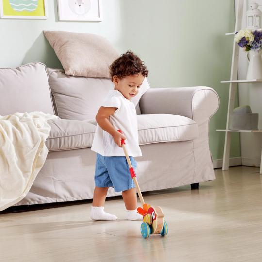 Hape Lilly Musical Push Along