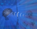 Zazu Projector 'Oceaan'