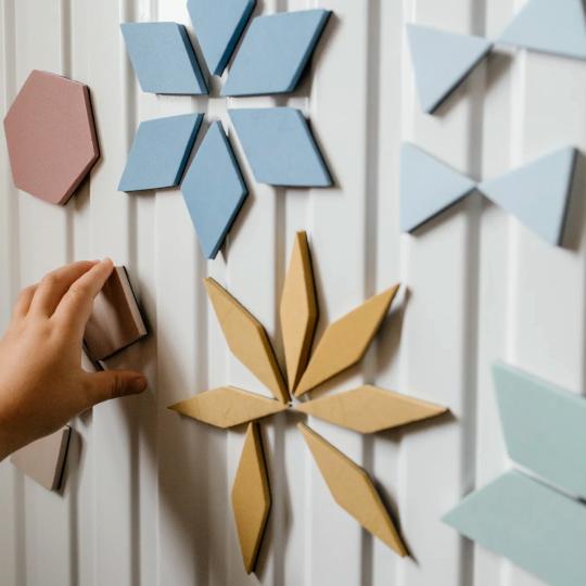 Moes Magnetische Puzzel