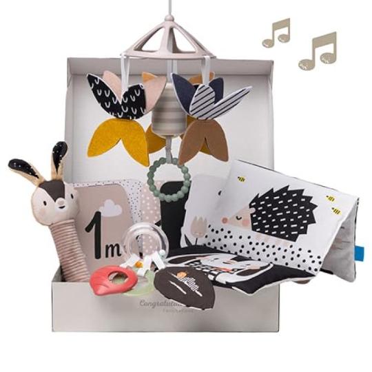 Taf Toys Newborn Kit  Black&White