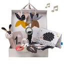 Taf Toys Newborn Kit Black&White