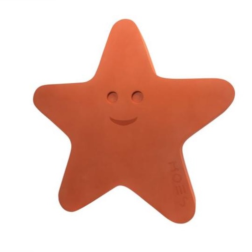 [039602] Moes Starfish