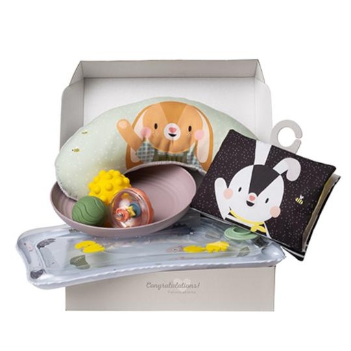 [045704] Taf Toys Tummy Time Essentials Kit